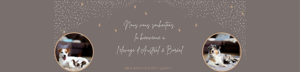 avatar de l'élevage