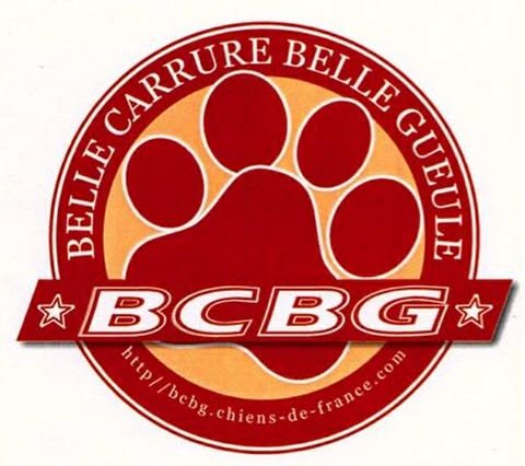 Photo de profile de BCBG Belle Carrure Belle Gueule