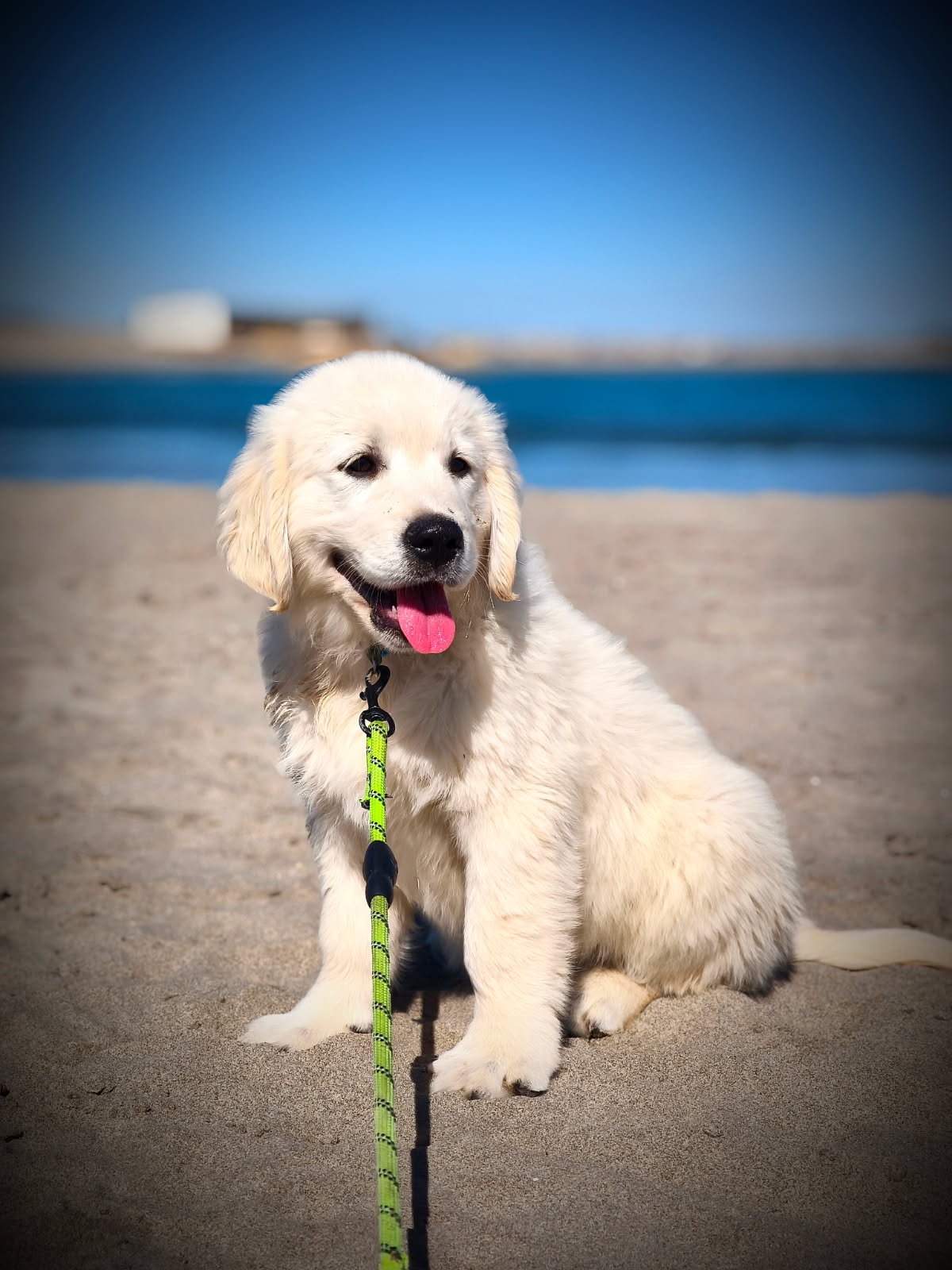 Photo de profile de Des Plaines de Carmen