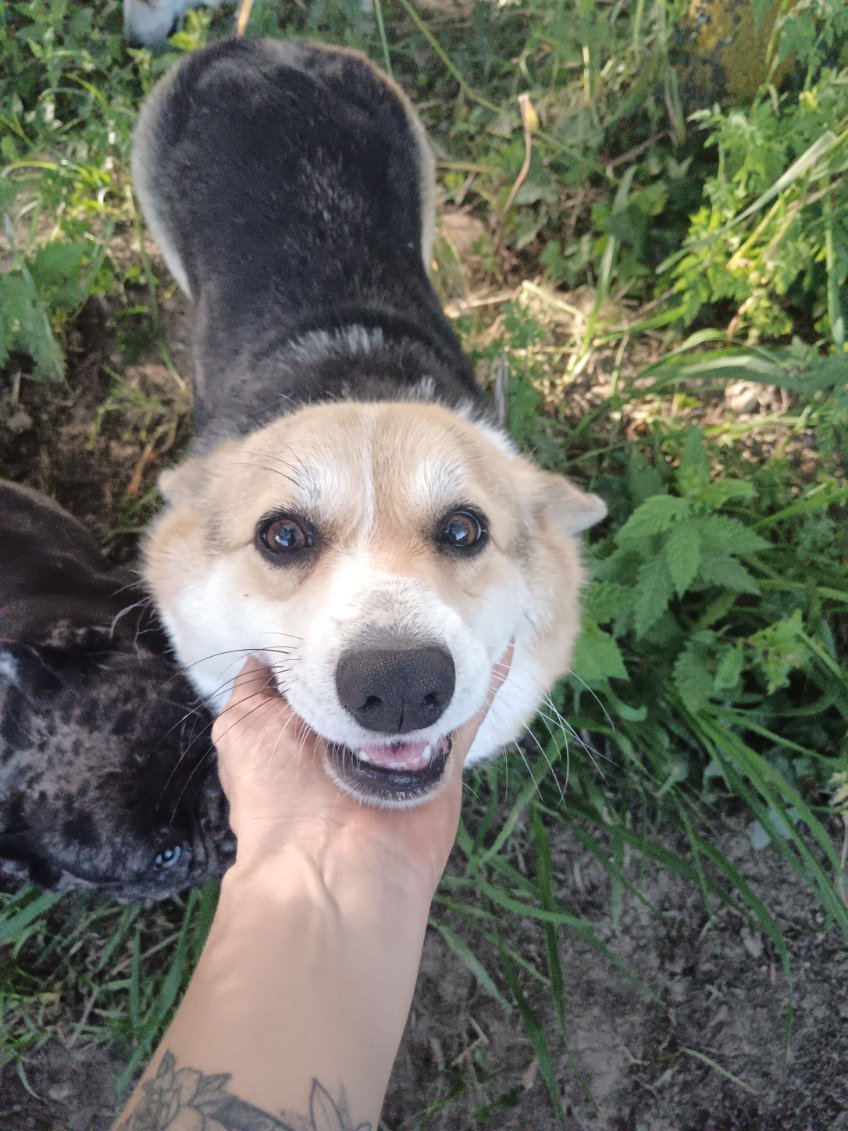 Photo de Hopie "zojka z doliny debow"