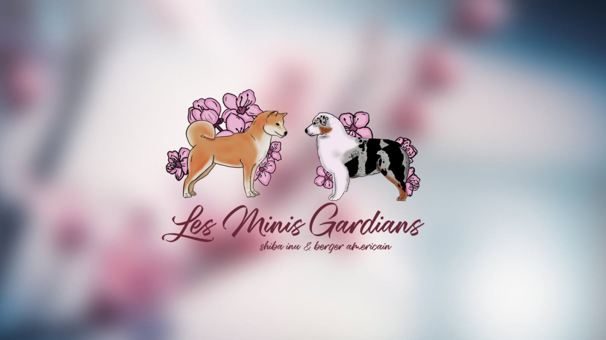 Photo de profile de Les Minis Gardians