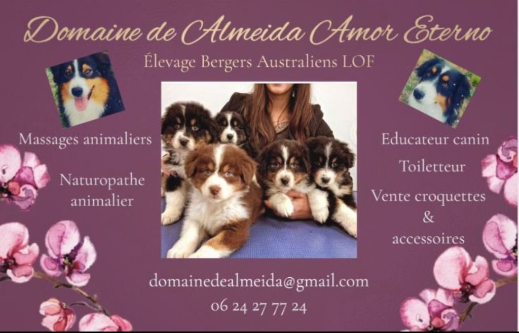 Photo de profile de Domaine de Almeida Amor Eterno