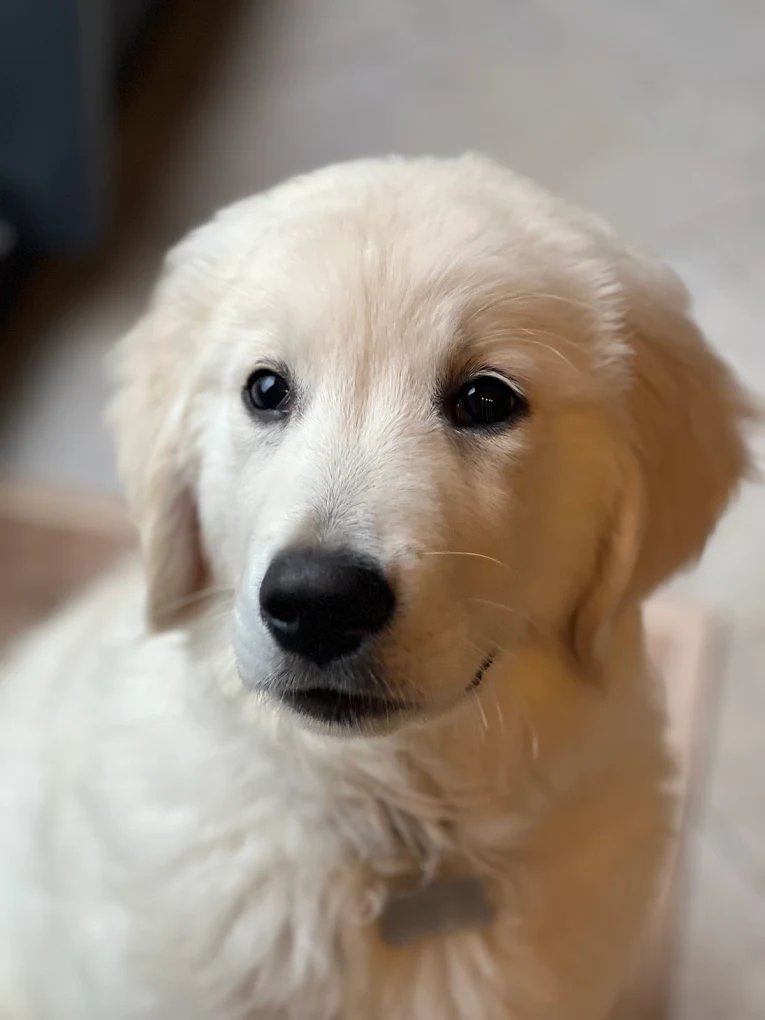 Photo de profile de Le Domaine d'Izara