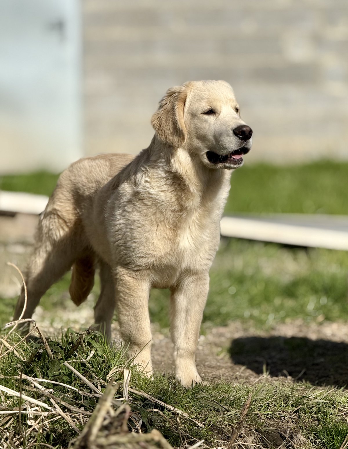 Image de présentation 2