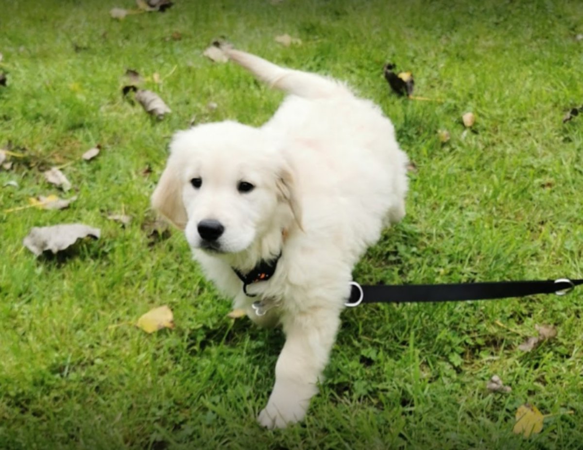 Image de présentation 4