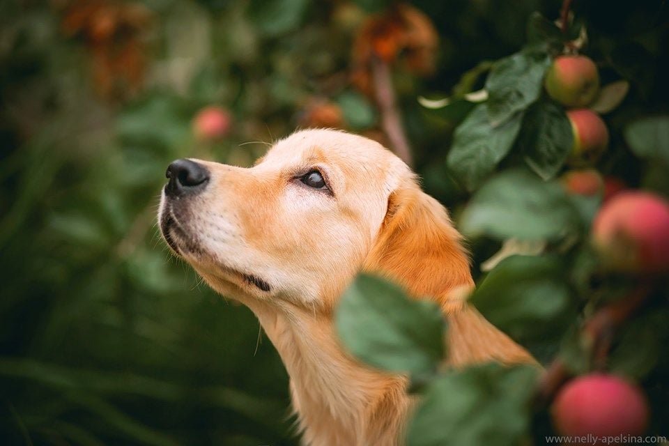 Image de présentation 2