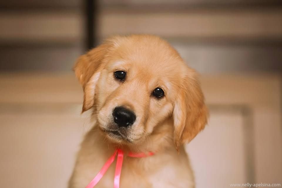 Image de présentation 1