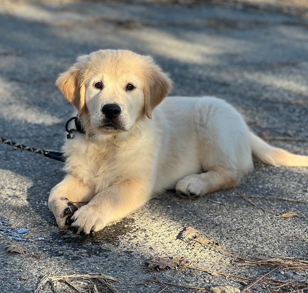 Image de présentation 3