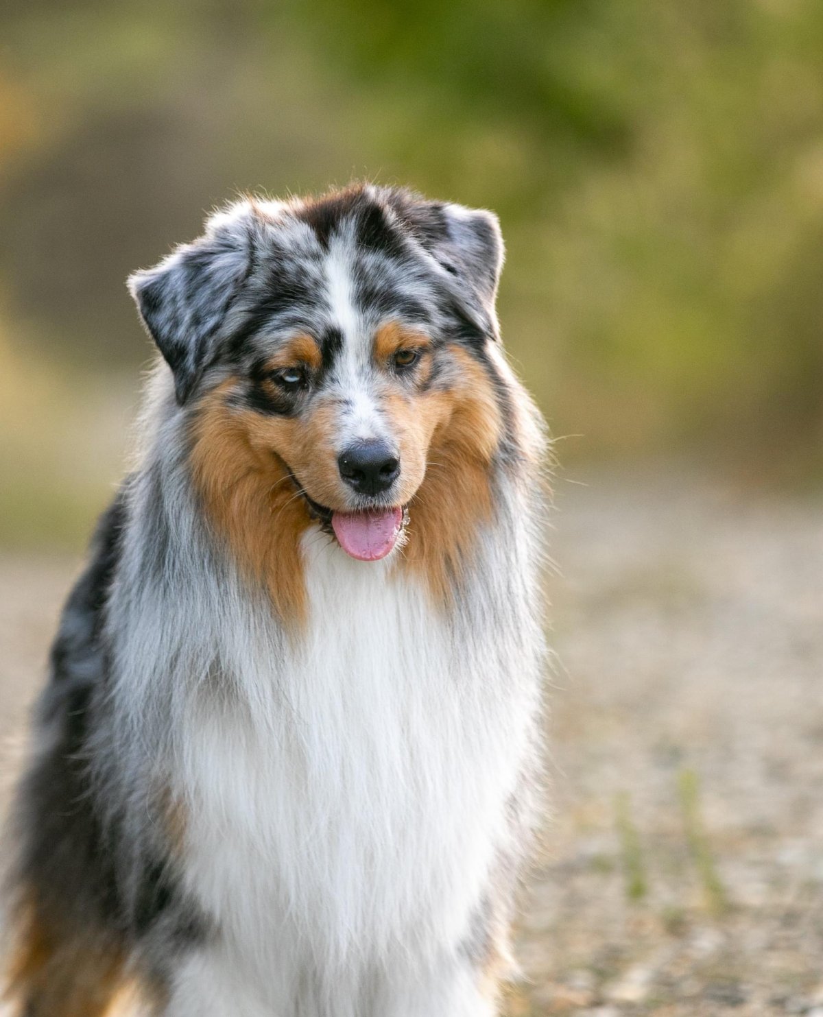 Image de présentation 3