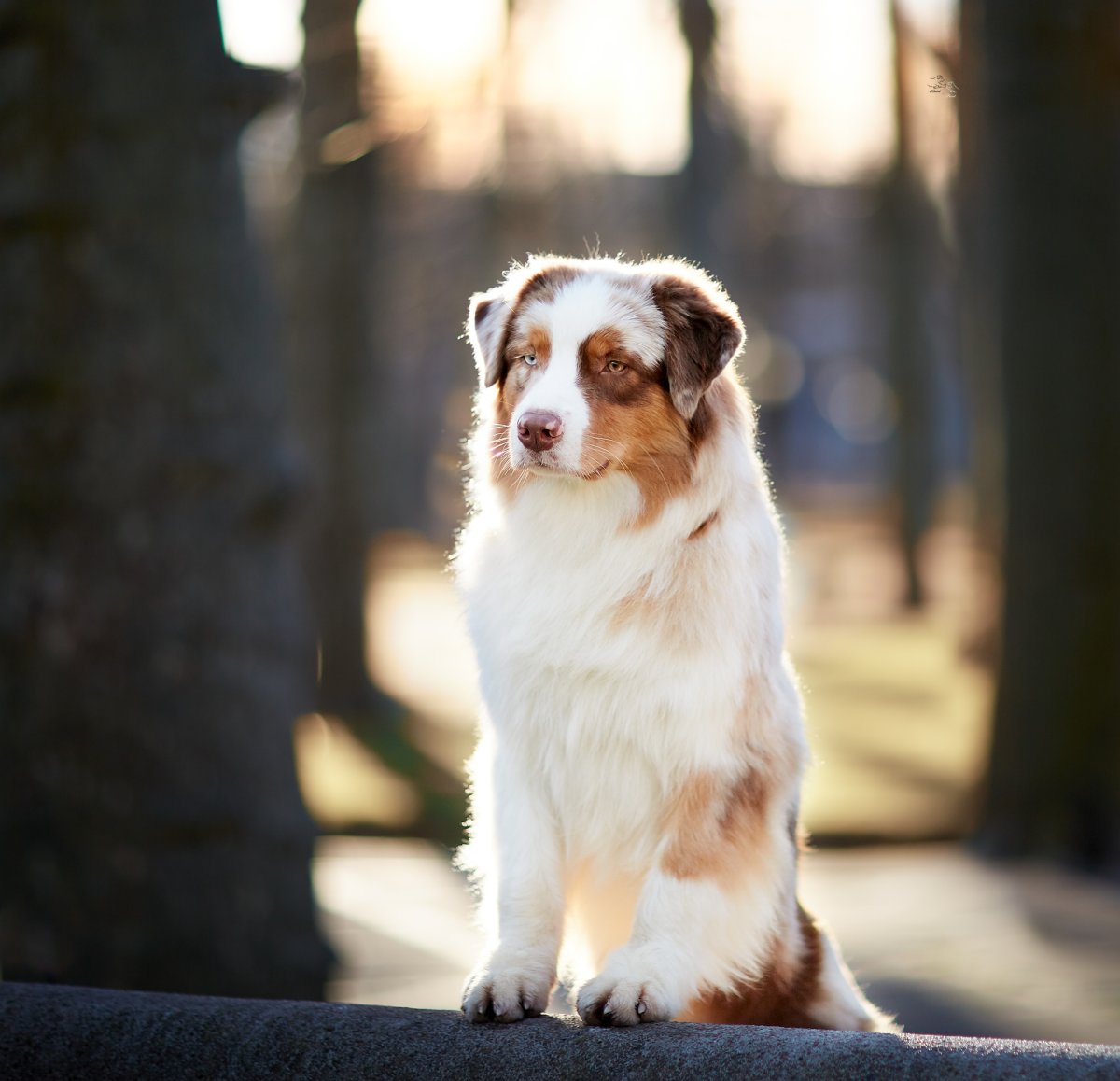 Image de présentation 1