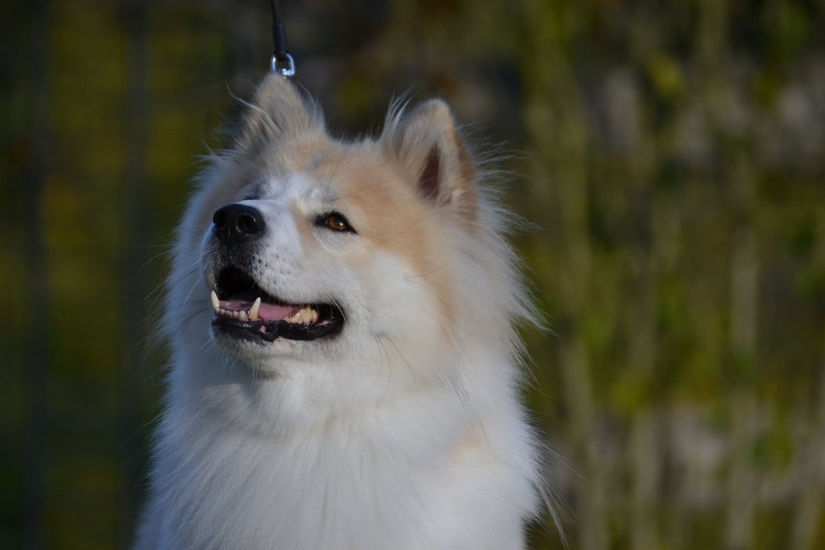 Image de présentation 3