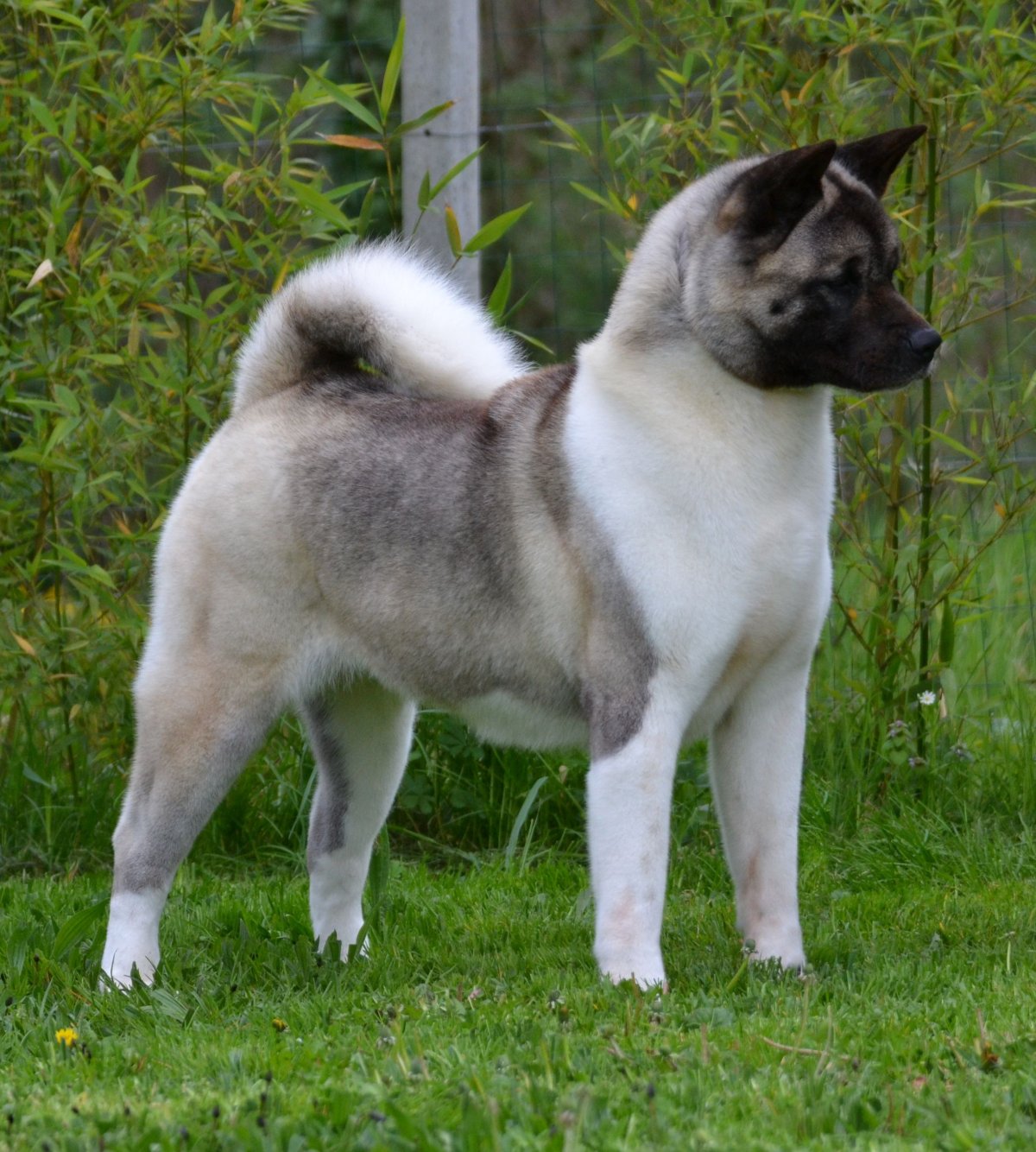 Image de présentation 4