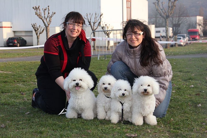 Photo de profile de Domaine des Pins d'Aurécanie