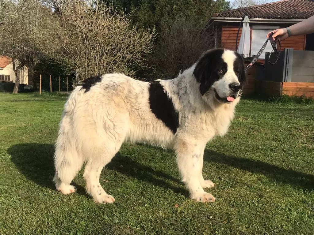 Image de présentation 1