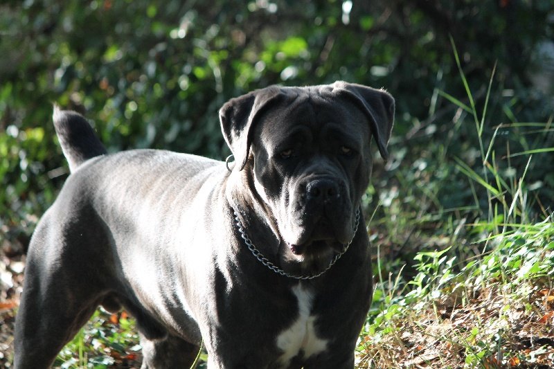 Image de présentation 2