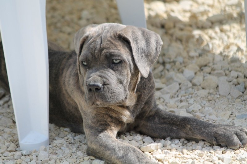 Image de présentation 3