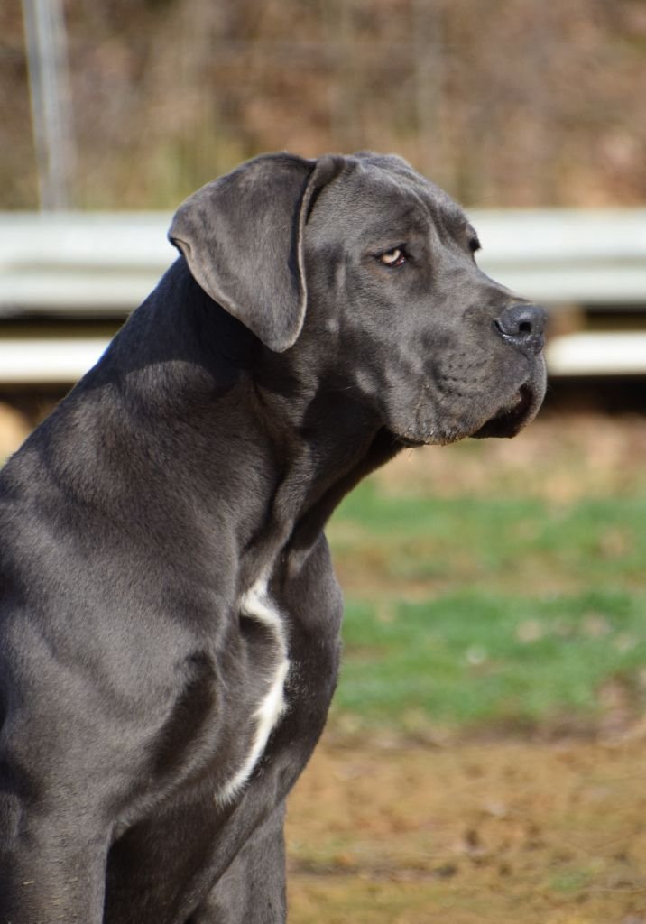 Photo de profile de Du Règne de Malaudréa