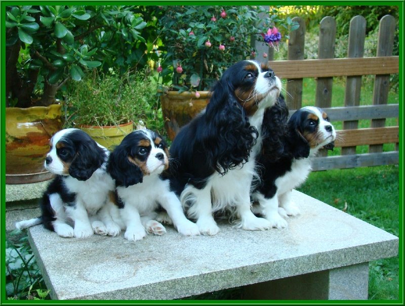 Photo de profile de De Luline